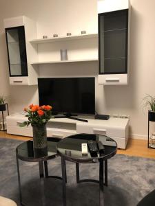 萨格勒布Apartment Queen的客厅配有电视和花瓶。
