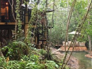 阿维瑟韦勒Rambas Reserve的森林中间有楼梯的建筑