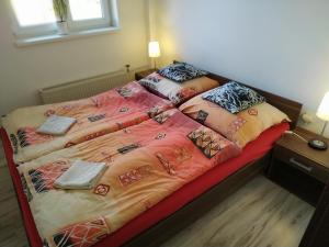 弗雷斯塔帕若德霍斯特Penzion Kutil Trojanovice的一张位于带两张带枕头的床的房间里的床