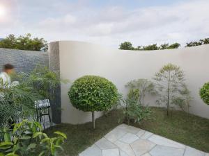 拜拉哈瓦Tiger Palace Resort的拥有白色墙壁和植物的花园