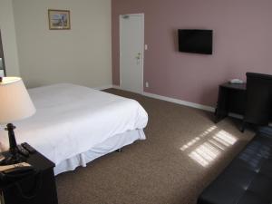 温哥华巴克利酒店 的一间卧室配有一张床和一台平面电视