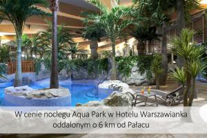 泽格雷兹泽葛丽兹斯基宫殿酒店的酒店大堂设有棕榈树游泳池