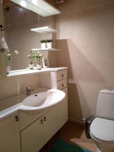 VikarbynKramer Stugan的一间带水槽、卫生间和镜子的浴室