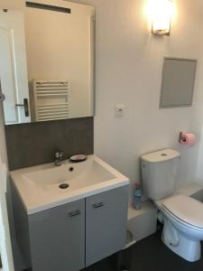 图尔T1bis meublé tout confort的浴室配有白色水槽和卫生间。