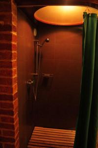 Ēdole卡佐基度假屋的一间带绿色窗帘的淋浴的浴室