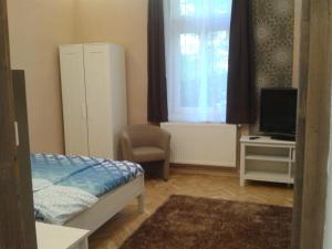布达佩斯莉莉公寓 的一间卧室设有一张床、一台电视和一个窗口。