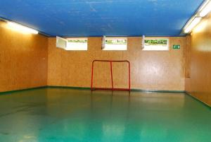 WaidhofenGasthof Bogenrieder的一间设有绿色地板和红色栏杆的健身房