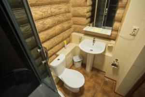 苏兹达尔苏维特利特伦酒店的一间带卫生间和水槽的小浴室