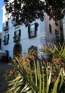 萨莱诺Il sorriso的前面有植物的白色建筑