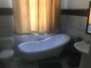 莱迪史密斯Towerzicht Guest House的带浴缸、卫生间和盥洗盆的浴室