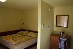新赫拉迪卡米内克旅馆的一间小卧室,配有一张床和镜子