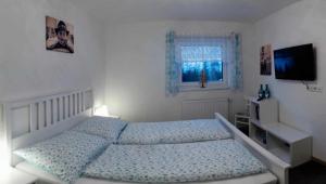 大格洛克纳山麓卡尔斯Kalser Eck的一间卧室配有一张床、一台电视和一个窗口