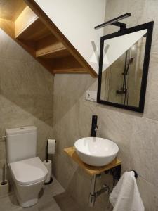 莱萨卡Apartamento Usuaia con jacuzzi的一间带水槽、卫生间和镜子的浴室