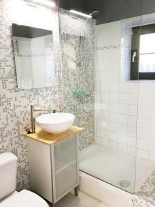 斯塔沃洛Huisje in Stavelot的一间带水槽、卫生间和淋浴的浴室