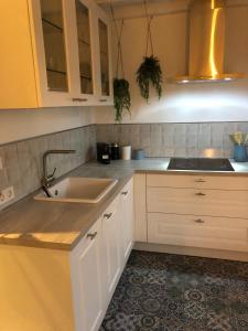 哈尔德韦克Boothuis Harderwijk的厨房配有白色橱柜和水槽