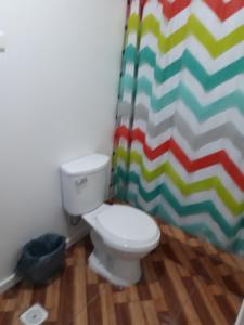 库里科Hostal Alessandri的一间带卫生间和淋浴帘的浴室