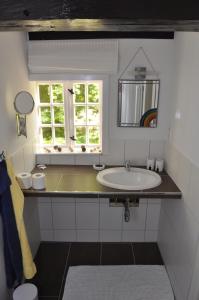KirchlintelnFerienhäuser Armsen的一间带水槽和镜子的浴室