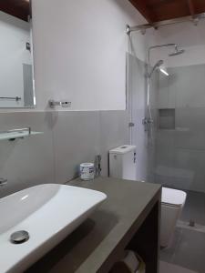 帕西库达Blue Sands Beach Resort的一间带水槽、卫生间和淋浴的浴室