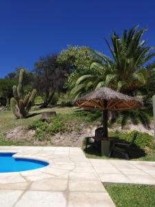 圣奥古斯汀镇posada cerro los nogales的游泳池旁的遮阳伞和长凳