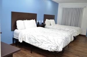 查塔努加查塔努加阿森那旅馆的蓝色墙壁客房的两张床