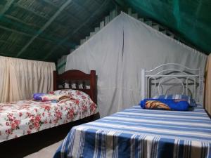 卡罗莱纳Refúgio Raiz Camping的一间帐篷内带两张床的卧室