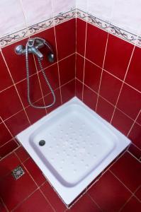 苏恰瓦奥利宗特苏奇瓦酒店的红色瓷砖浴室设有带淋浴的浴缸