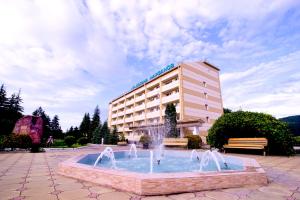纳尔奇克Health Resort Dolina Narzanov Nalchik的一座建筑前有喷泉的酒店