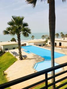班珠尔Gambia Seafront Central的享有棕榈树游泳池和大海的景色