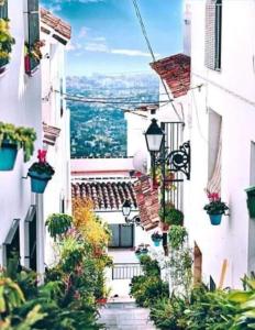 米哈斯La casa del barrio的楼边有盆栽的小巷