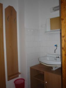 布尔诺柯门斯奇沃卡勒伊JA旅馆的白色的浴室设有水槽和镜子