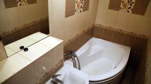 锡比乌Dioniss Apartment的带浴缸、卫生间和盥洗盆的浴室