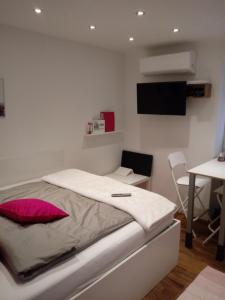 卢布尔雅那Apartment EMA的一间卧室配有一张床、一张桌子和一台电视