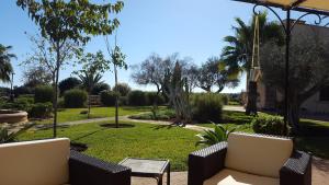 波多佩特罗娜玛蒂娜农庄酒店的一个带椅子的庭院和一个种有棕榈树的公园