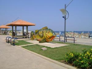 圣塔伦hotel encontro das aguas的海滩附近的草地上,有一大块鱼雕像