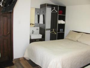 蒂瓦索萨Los Vagones de William的一间卧室配有床和水槽