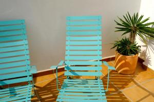 厄尔·坎皮洛·德·罗达尔波西多尼亚公寓的植物间里两把蓝色椅子