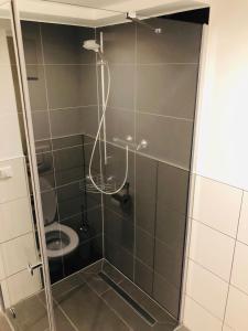 奥斯特菲尔登皇冠酒店的浴室配有淋浴和卫生间。