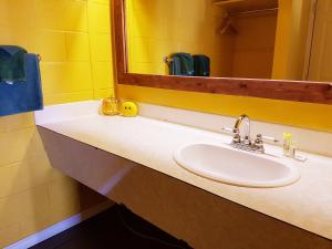 圣约翰堡大篷车汽车旅馆的一间带水槽和镜子的浴室