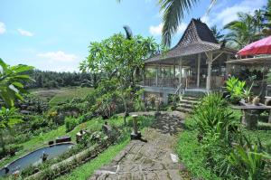 塞莱马德加巴厘岛苍翠住宿加早餐旅馆的花园前带池塘的房子