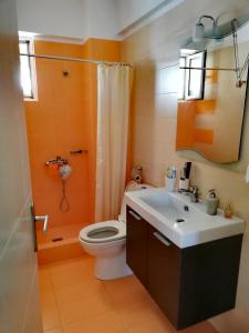 帕拉利昂阿斯特罗Efi Apartment的一间带卫生间和水槽的浴室