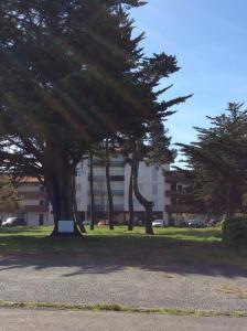 米尼赞海滩La Foret 4的建筑前的一群树木