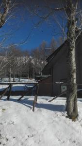 阿贝托内B&B Bucaneve的建筑物旁边的雪地里的一棵树