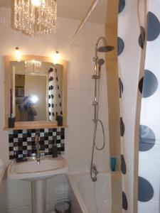巴黎33 Villa Curial的一间带水槽、淋浴和镜子的浴室
