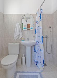 阿斯提帕莱亚镇Yalos rooms的浴室设有卫生间、水槽和淋浴帘