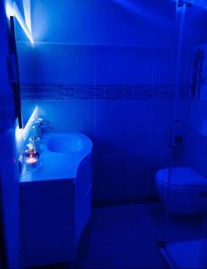 马尼库尔勒翁格尔Chambres d'hôtes à thèmes à 2,4Km du parc的蓝色的浴室设有水槽和卫生间