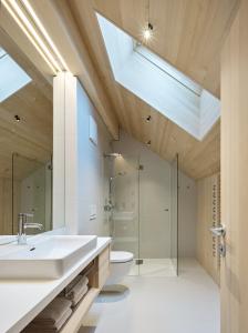 梅劳Försterhaus Mellau的一间带水槽、卫生间和天窗的浴室