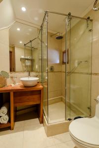 惠洛惠洛乎伊洛乎伊洛假山毛榉spa酒店的一间带玻璃淋浴和水槽的浴室