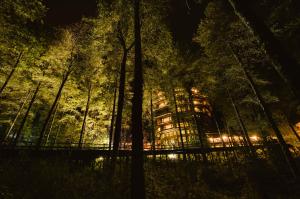 惠洛惠洛乎伊洛乎伊洛假山毛榉spa酒店的森林中的一个晚上的建筑