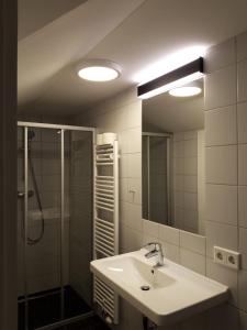 上陶恩DAV-Haus (Alpenverein)的一间带水槽、淋浴和镜子的浴室