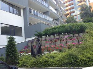 金沙雅尔塔金沙迪拉乌酒店的建筑物前有花的围栏